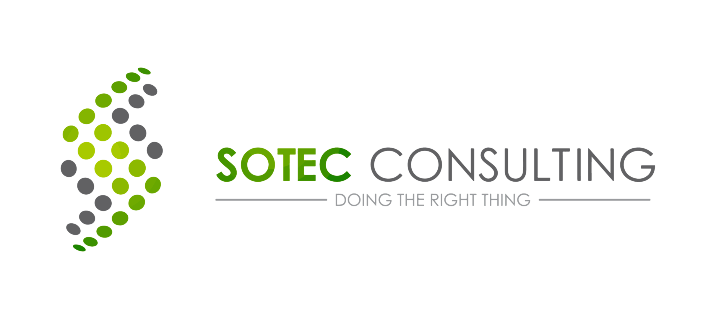 Sotec Consulting